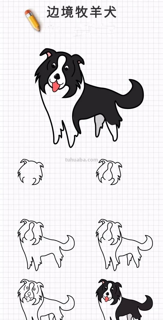 简笔画｜20种狗狗画法大全，一学就会，你喜欢的都有哦，收藏