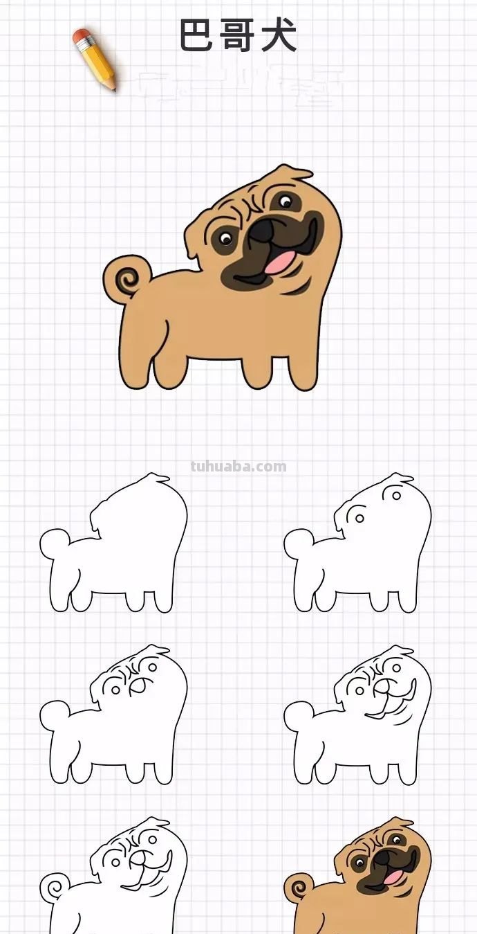 简笔画｜20种狗狗画法大全，一学就会，你喜欢的都有哦，收藏