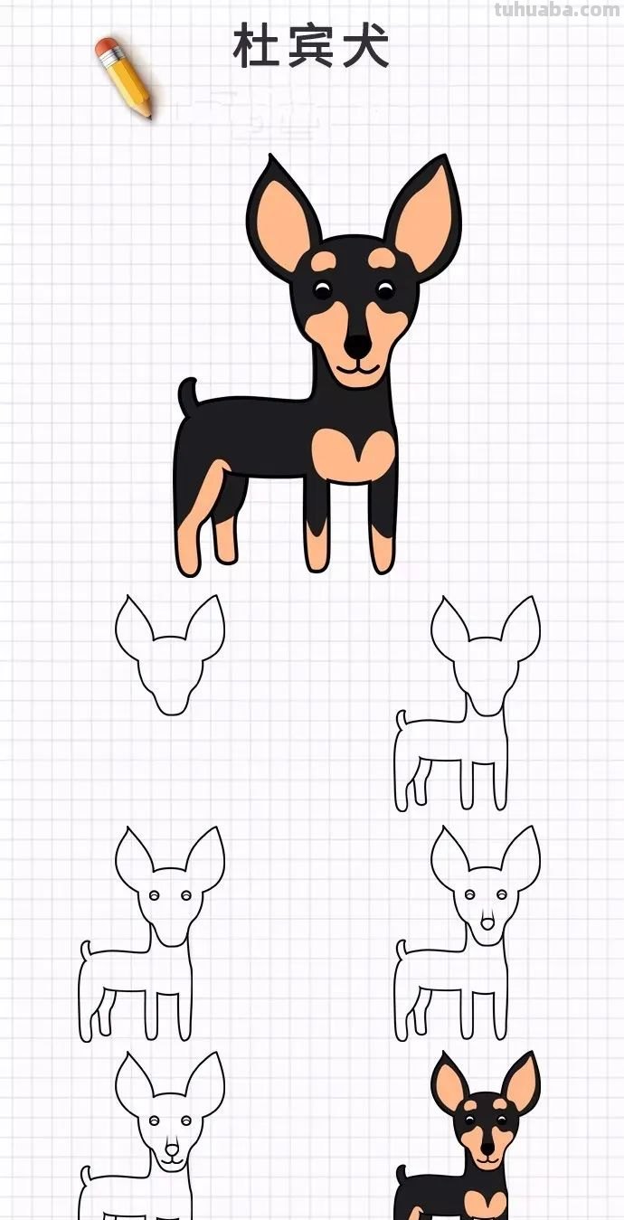 简笔画｜20种狗狗画法大全，一学就会，你喜欢的都有哦，收藏