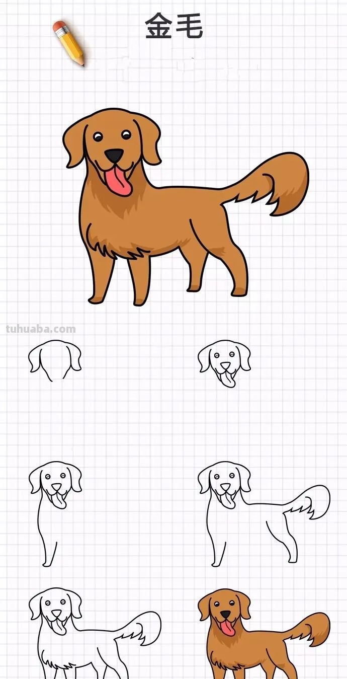 简笔画｜20种狗狗画法大全，一学就会，你喜欢的都有哦，收藏