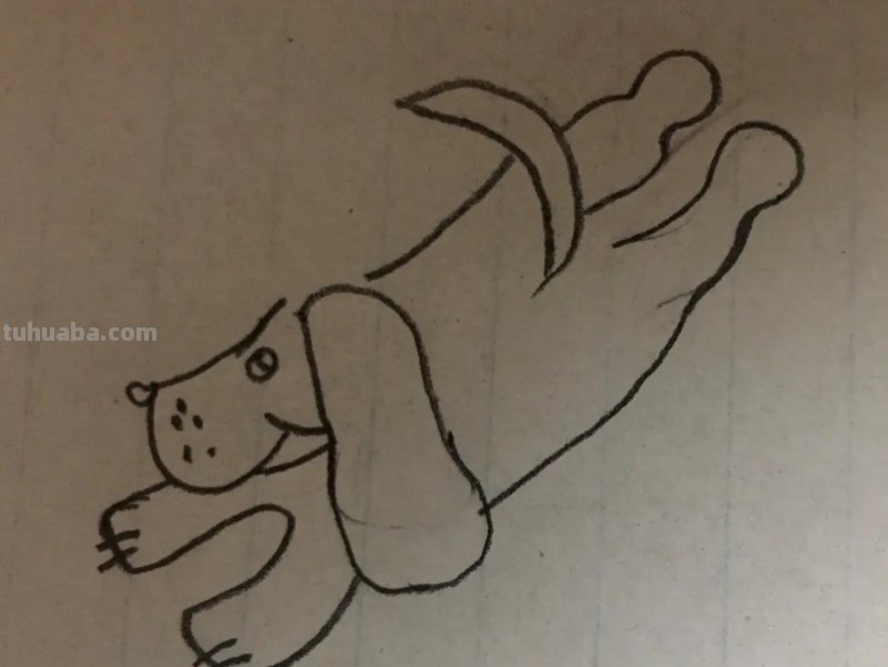 19种狗狗简笔画