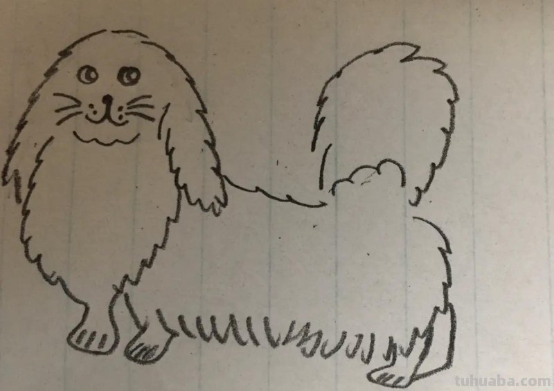 19种狗狗简笔画