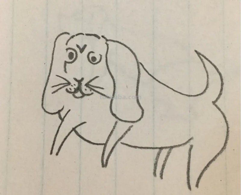 19种狗狗简笔画
