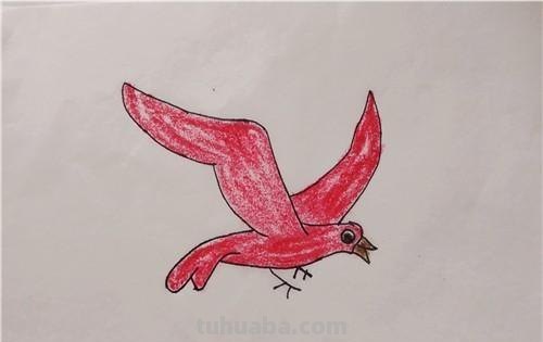 儿童简笔画教程：如何用蜡笔画出飞翔的海鸥？