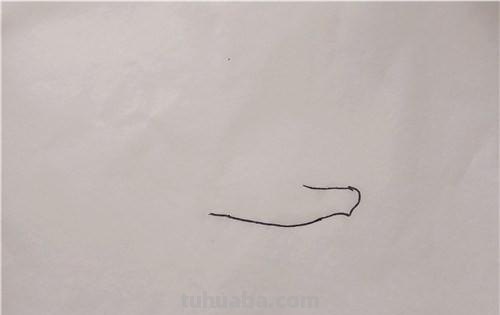 儿童简笔画教程：如何用蜡笔画出飞翔的海鸥？