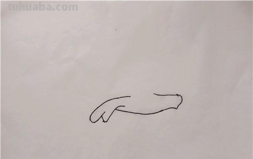 儿童简笔画教程：如何用蜡笔画出飞翔的海鸥？