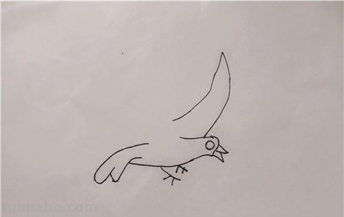 儿童简笔画教程：如何用蜡笔画出飞翔的海鸥？