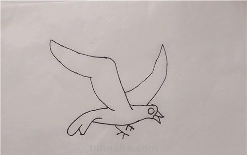 儿童简笔画教程：如何用蜡笔画出飞翔的海鸥？