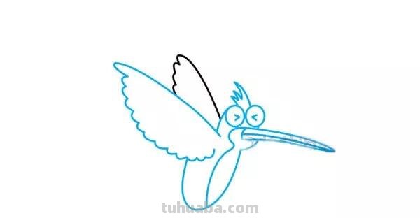 每天学一幅简笔画-蜂鸟的画法步骤图片大全