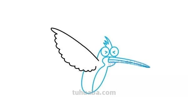 每天学一幅简笔画-蜂鸟的画法步骤图片大全