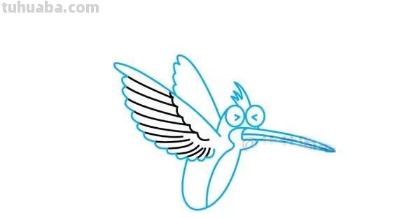 每天学一幅简笔画-蜂鸟的画法步骤图片大全