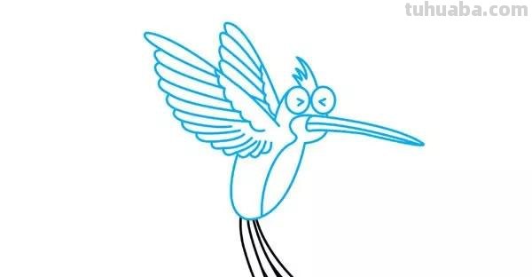 每天学一幅简笔画-蜂鸟的画法步骤图片大全