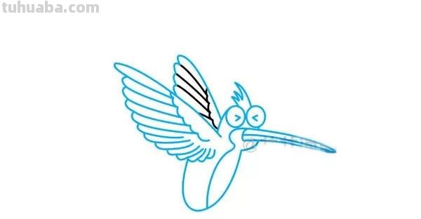 每天学一幅简笔画-蜂鸟的画法步骤图片大全