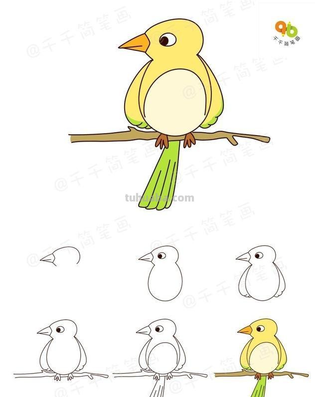 6种飞行动物简笔画，简单易学，快和孩子一起画起来吧！