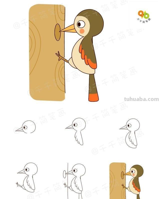 6种飞行动物简笔画，简单易学，快和孩子一起画起来吧！