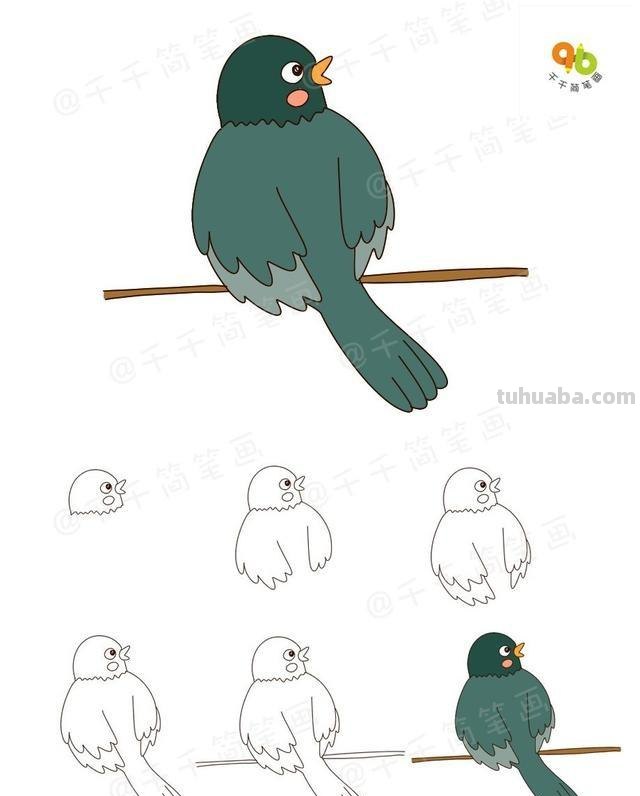 6种飞行动物简笔画，简单易学，快和孩子一起画起来吧！