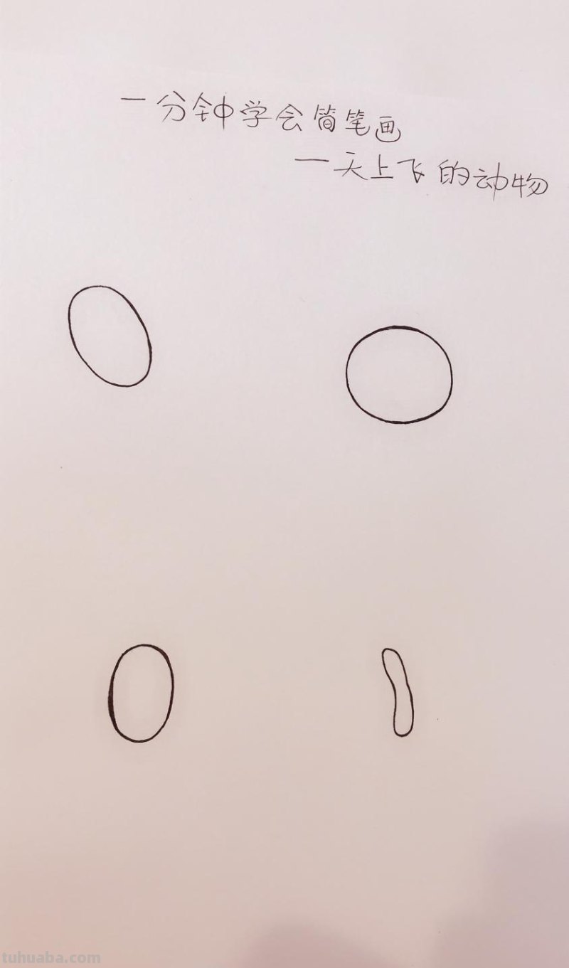 手账简笔画素材-10秒钟学会天上会飞的动物，超萌超简单！