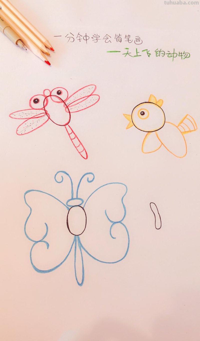 手账简笔画素材-10秒钟学会天上会飞的动物，超萌超简单！