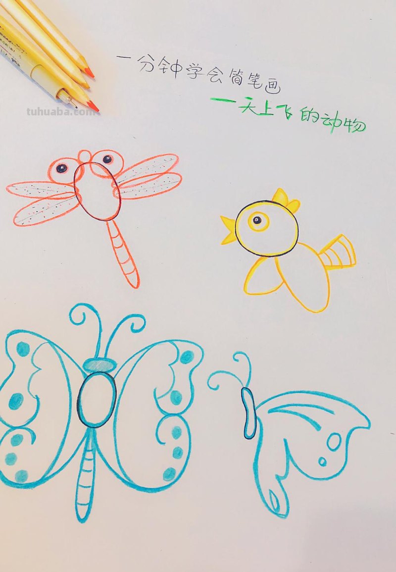 手账简笔画素材-10秒钟学会天上会飞的动物，超萌超简单！