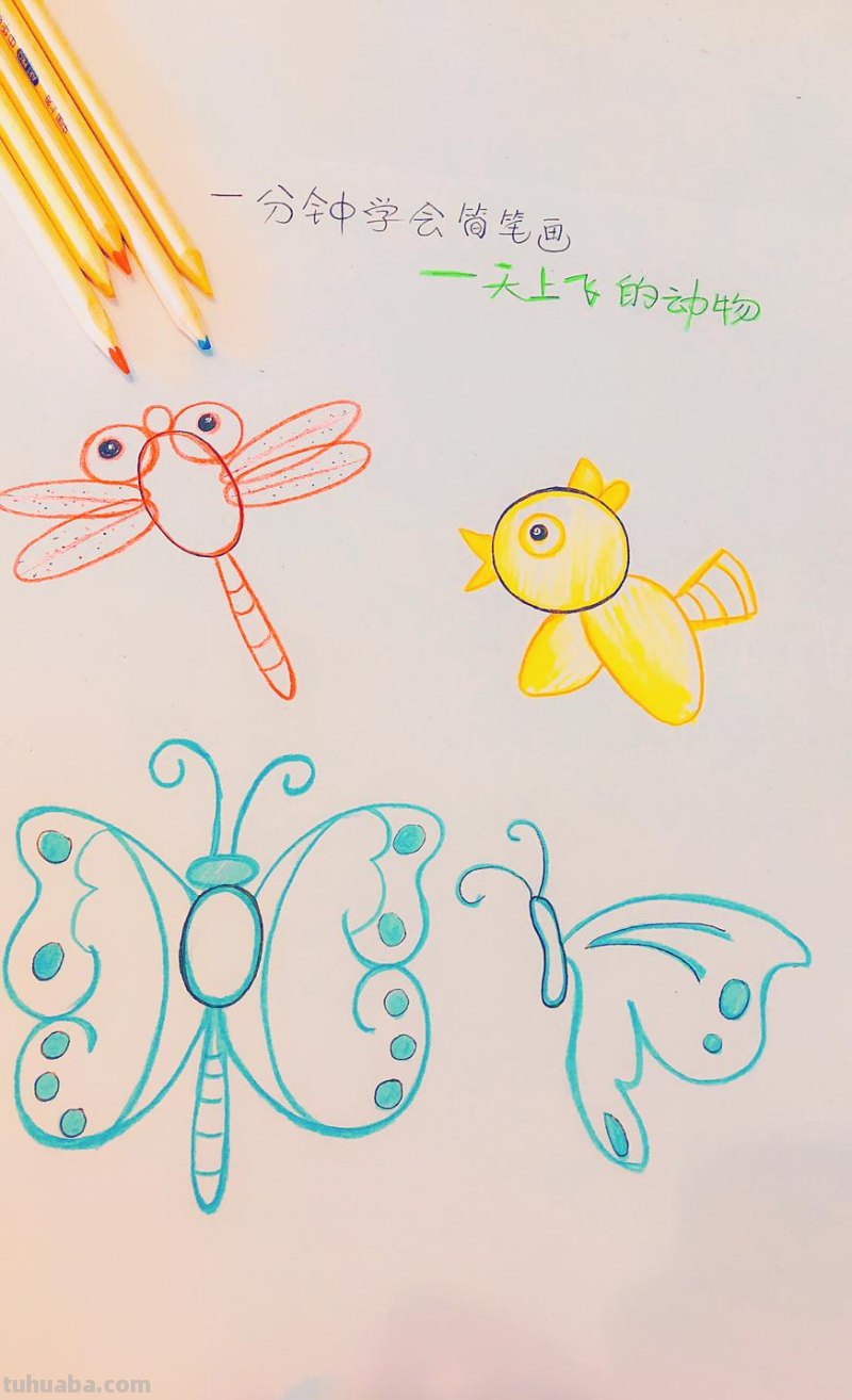 手账简笔画素材-10秒钟学会天上会飞的动物，超萌超简单！