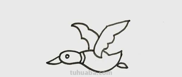 每天学一幅简笔画-大雁简笔画步骤画法教程