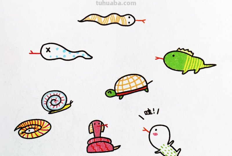 爱美术，爱动物，手帐中的简笔画-爬行动物