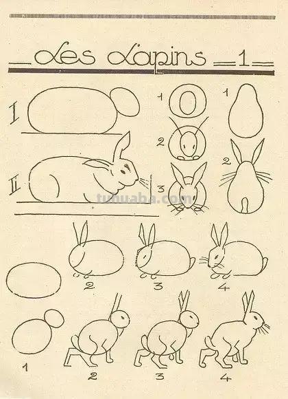 简笔画不会画？教你11种动物简笔画线稿，学会画简笔画很简单