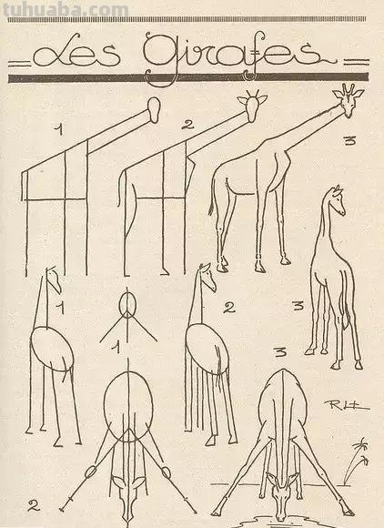 简笔画不会画？教你11种动物简笔画线稿，学会画简笔画很简单