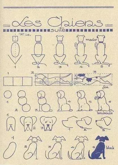 简笔画不会画？教你11种动物简笔画线稿，学会画简笔画很简单