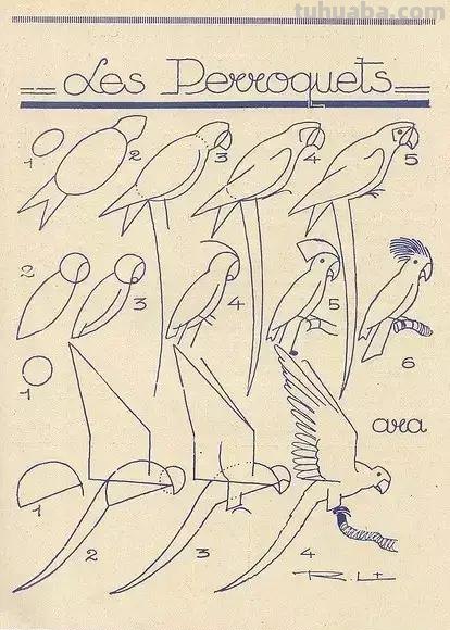 简笔画不会画？教你11种动物简笔画线稿，学会画简笔画很简单