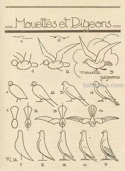 简笔画不会画？教你11种动物简笔画线稿，学会画简笔画很简单