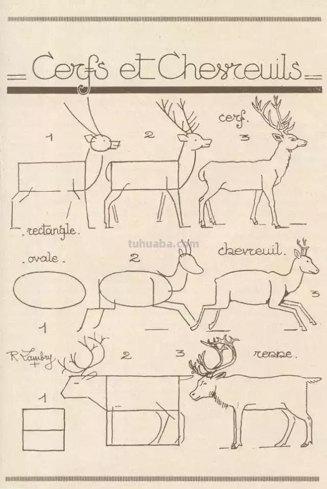 简笔画不会画？教你11种动物简笔画线稿，学会画简笔画很简单