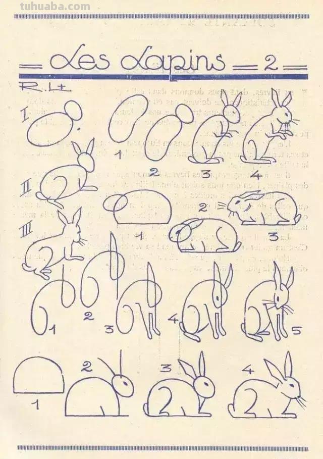 简笔画不会画？教你11种动物简笔画线稿，学会画简笔画很简单