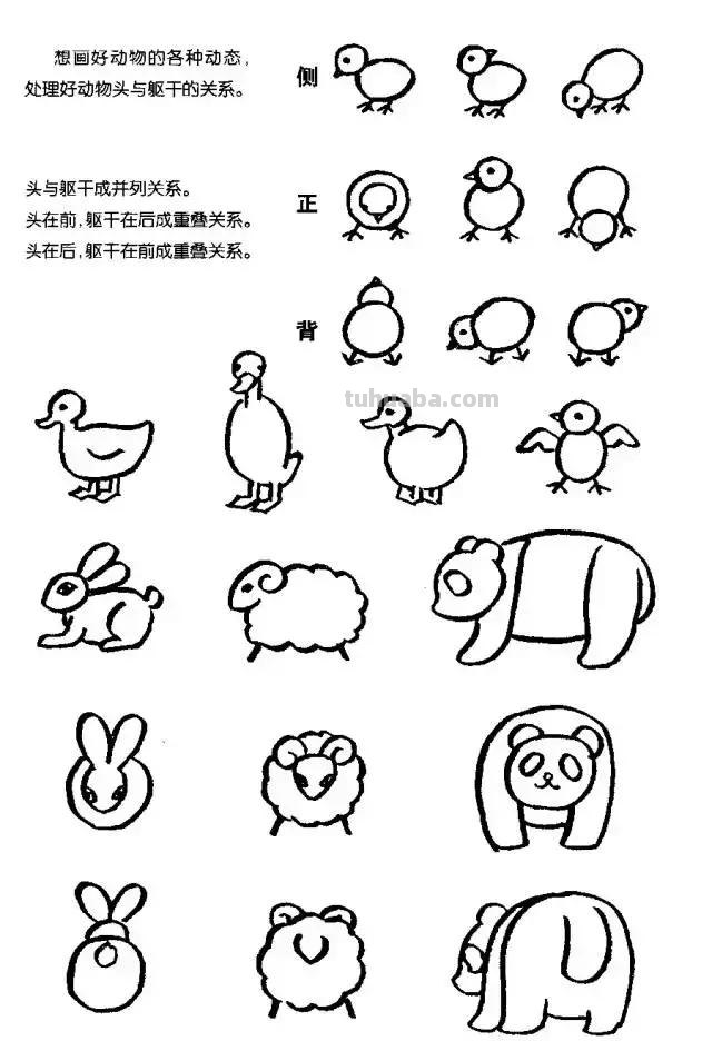 简笔画｜超详细动物简笔画教程，一学就会，快为孩子收藏！