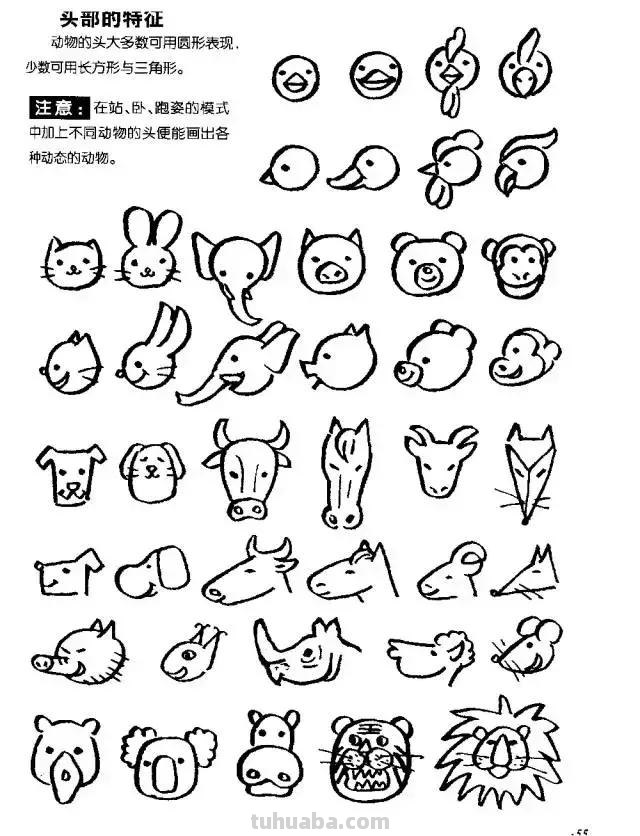 简笔画｜超详细动物简笔画教程，一学就会，快为孩子收藏！