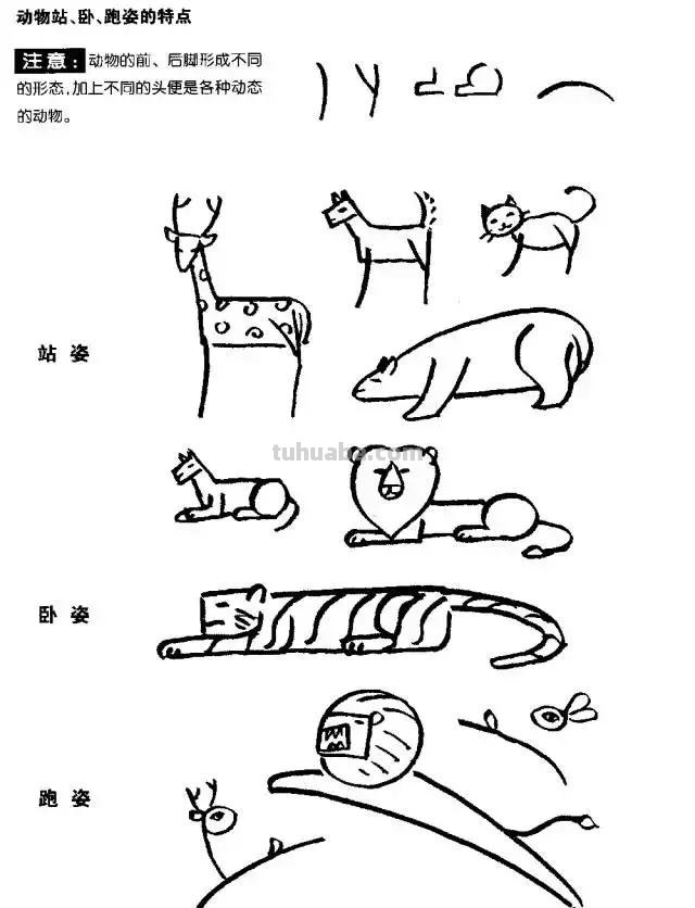 简笔画｜超详细动物简笔画教程，一学就会，快为孩子收藏！