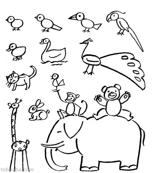 简笔画｜超详细动物简笔画教程，一学就会，快为孩子收藏！