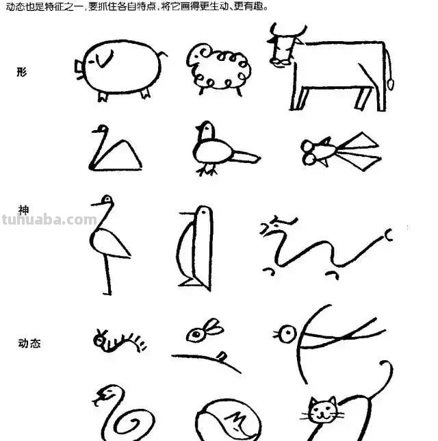 简笔画｜超详细动物简笔画教程，一学就会，快为孩子收藏！