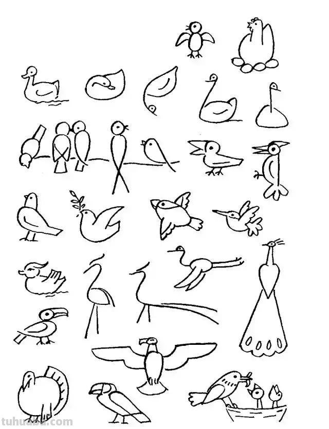 简笔画｜超详细动物简笔画教程，一学就会，快为孩子收藏！