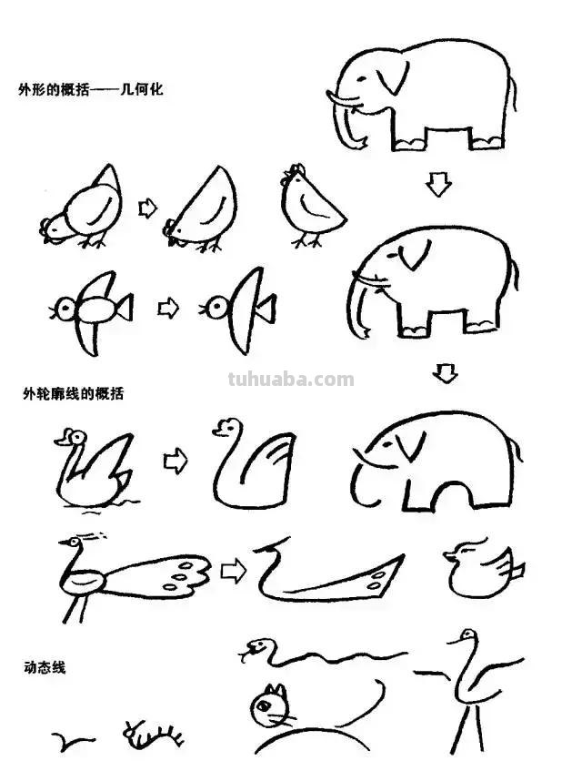 简笔画｜超详细动物简笔画教程，一学就会，快为孩子收藏！
