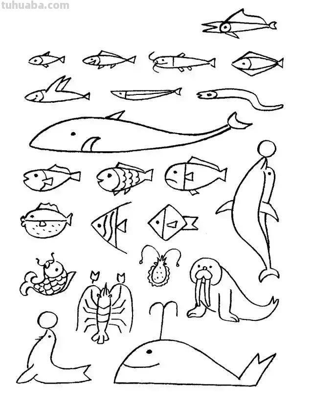 简笔画｜超详细动物简笔画教程，一学就会，快为孩子收藏！