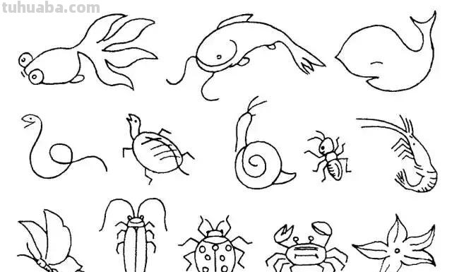 简笔画｜超详细动物简笔画教程，一学就会，快为孩子收藏！