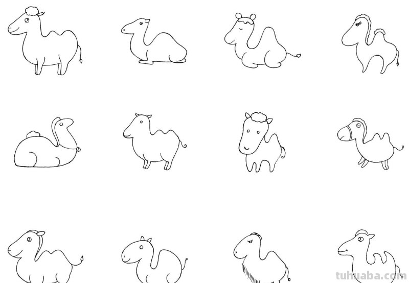 简笔画 - 分步骤讲解六种动物简笔画画法，快收藏起来学习绘画吧