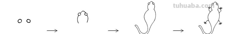简笔画 - 分步骤讲解六种动物简笔画画法，快收藏起来学习绘画吧