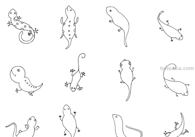 简笔画 - 分步骤讲解六种动物简笔画画法，快收藏起来学习绘画吧