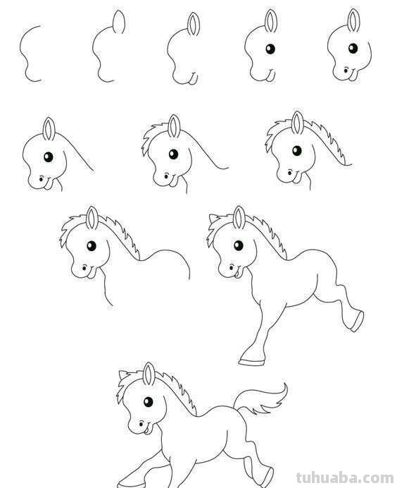 超详细的动物简笔画教程，一学就会