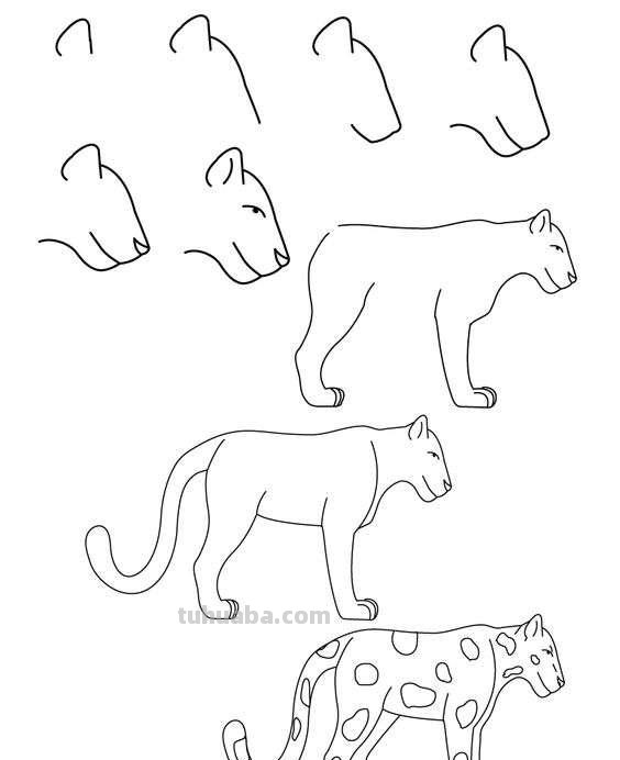 超详细的动物简笔画教程，一学就会