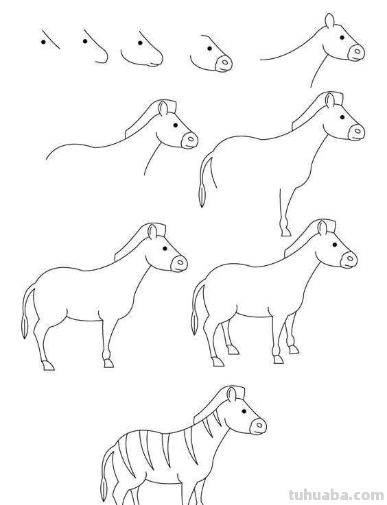 超详细的动物简笔画教程，一学就会