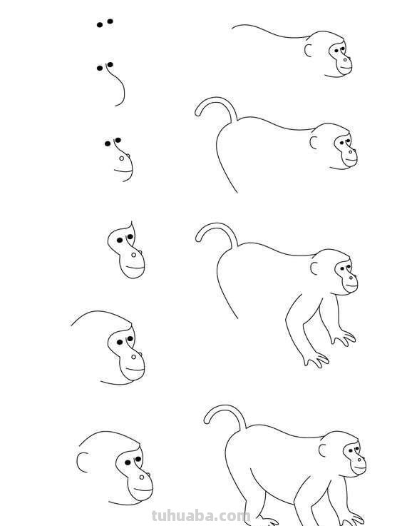 超详细的动物简笔画教程，一学就会