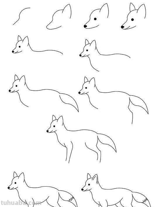 超详细的动物简笔画教程，一学就会